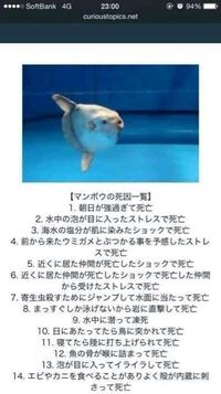 アプリ生きろ マンボウ ー３億匹の仲間はみな死んだ ーの死因で タッチしすぎて Yahoo 知恵袋