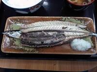 子供の頃から巨大な怪魚の夢を見ます しょっちゅうという訳で Yahoo 知恵袋