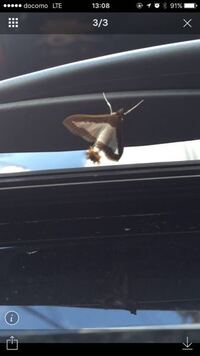 水戸黄門の決めぜりふって この紋所が目に入らぬか こちらにおあ Yahoo 知恵袋