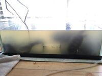 亀を2匹飼っていますが 水槽の水の濁りがとても酷いです つい3日前に Yahoo 知恵袋