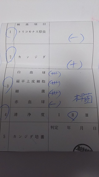 おりものが増えカンジタぽかったので 受診しました 検査結果の紙の三番のとこ Yahoo 知恵袋