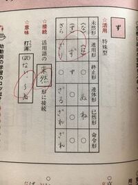 高1です 打消の助動詞 活用表 特殊型写真の表の意味が全くわかりません 教 Yahoo 知恵袋