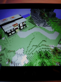 マイクラvita版で質問です この家の前の空き地には何をたてたらよろ Yahoo 知恵袋