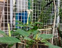 XXXXXX様　日淘市集公式アカウント XXXXXX様 日淘市集公式アカウント XXXXXX様 日淘市集公式