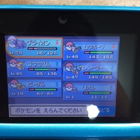 新しいコレクション ポケモン プラチナ リオル 厳選