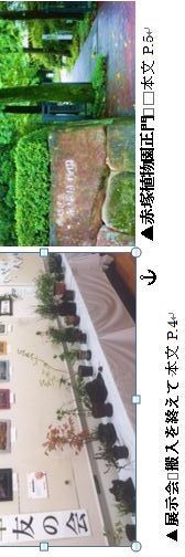 Wordを使っていると たまに錨 いかり みたいなマークが出てくることがある Yahoo 知恵袋