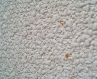 壁のシミ カビ の落とし方を教えてください 添付みたいな薄い茶色い斑点 Yahoo 知恵袋