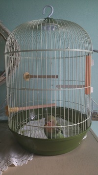 鳥かごの色がはげてきてさびているのですがそのまま使うとしたら色をペンキ Yahoo 知恵袋