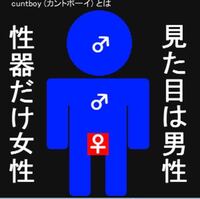 カントボーイってどう思います 見た目は男性だが男性器が無く女性器がある 上 Yahoo 知恵袋
