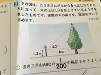 小６の縮図の問題なのですが 解き方を教えてください木のてっぺんを見 Yahoo 知恵袋