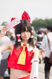 コスプレイヤーがブスばっかなのは何故ですか コミケでも美人の Yahoo 知恵袋