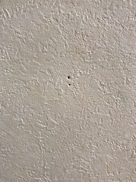 家の壁にこのような1mmくらいの穴がぽつぽつとあらゆるところに空い 