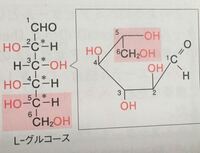糖のフィッシャー投影法のohの位置について グルコースのフィシッシャー Yahoo 知恵袋