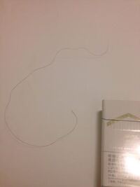 髪がちん毛みたいと言われます 長いちん毛に見えますか Yahoo Beauty