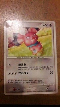 ポケモンカード 英語の翻訳をお願いできませんか 外国人の知り合いのお Yahoo 知恵袋