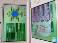 ポケモンアルセウスブラックの時点で アルセウスは 何たい手に入れられま Yahoo 知恵袋