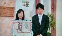 田中萌はかわいいですか 可愛い テレビ朝日にいるなんて勿体ない フリー Yahoo 知恵袋
