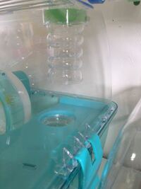 ハムスターを飼うとき なるべく出費をおさえたいです 100均で買えるモ Yahoo 知恵袋