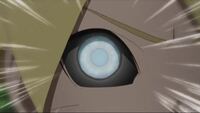 アニメ ボルトの目の能力って何ですか 白眼 Thela Yahoo 知恵袋