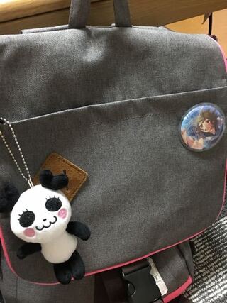 通学カバンは自由なのですがhoneyworksのキーホルダーや缶バッチなど Yahoo 知恵袋