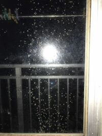 家のベランダの窓に小さい虫がたくさん 教えて 住まいの先生 Yahoo 不動産