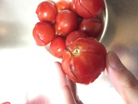 大玉トマトの裂果したものは食べても大丈夫でしょうか こんに Yahoo 知恵袋