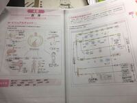 解剖生理学の参考書 問題を穴埋めでといていく形式の問題集のようなもの コピ Yahoo 知恵袋