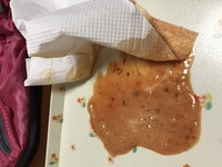 嘔吐物の記録の記入方法で質問です 食べた物を そのままの Yahoo 知恵袋