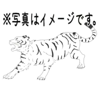 体育祭の学級旗を作るのに虎と龍のイラストを描いてその他に四字熟語 Yahoo 知恵袋
