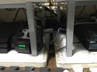 今日の午後7時あたりに椅子に座ってゲームをしていたら 左足に黒い虫が居ました 早 教えて 住まいの先生 Yahoo 不動産