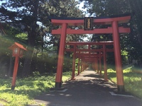 札幌の伏見稲荷神社の画像待ち受けにしてたら 機種変したばかりの携帯 Yahoo 知恵袋