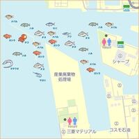 10月 堺の石津テトラではどんな魚が釣れますか こんば Yahoo 知恵袋