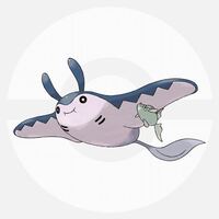 ポケモンのゲームにおいてマンタインの隣にいたテッポウオのような魚 Yahoo 知恵袋