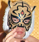 トペコンヒーローを日本人で初披露したのは三沢タイガーマスクですか Yahoo 知恵袋