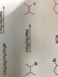 この反応の主生成物はどうして二重結合ができててこのようになるので Yahoo 知恵袋