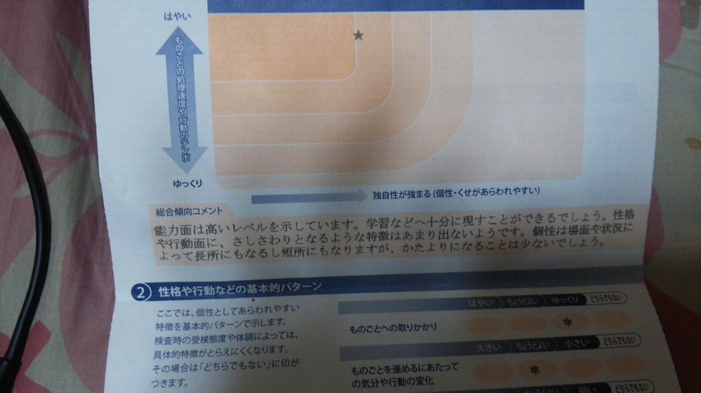 鉄道会社への就職を希望していますが 内田クレペリン検査をやった結果です こ Yahoo 知恵袋