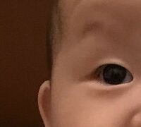 赤ちゃんの顔は変わると言いますが 目は大きくなりますか ８ヶ月の娘が Yahoo 知恵袋
