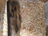 クワガタやカブトムシ育てる際この木屑にも霧吹きって必要ですよね Yahoo 知恵袋