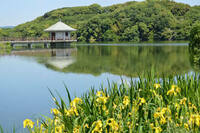 大阪 枚方 山田池公園 枚方の山田池公園が心霊スポットだって聞 Yahoo 知恵袋