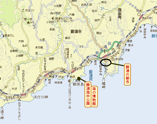 勝浦」といえば千葉県勝浦市と思われがちですが、その他に和歌山県
