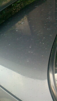 車の塗装が一部だけ 雨のたびに大量の白い斑点がつきます こんにちは車のこと Yahoo 知恵袋