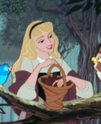 眠れる森の美女のプリンセスの名前ってオーロラ姫だと思っていたのですが Yahoo 知恵袋
