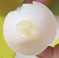 玉子を割ったら謎の白い塊が入っていました 普段見るカラザとは違い パール Yahoo 知恵袋