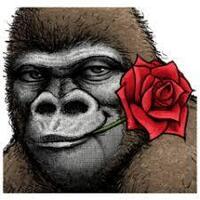 水原希子って美人なゴリラに見えませんか 見える そりゃ黒人のハーフで Yahoo 知恵袋