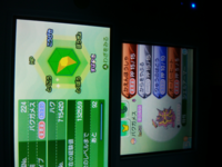 ダウンロード ポケモン サンムーン コータス コレクションのクールなイメージ アニメーション オプション