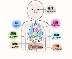 座間の事件は臓器売買だと思うけど 隠しきれると思いますか 今回のアパ Yahoo 知恵袋