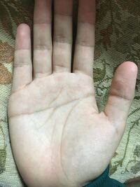 右手に横一線の手相があります それと生命線の隣にもう一つ生命線の Yahoo 知恵袋