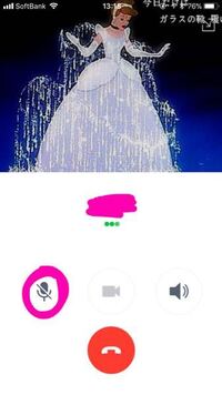 Line電話のこの左下にあるマイクマークみたいなのは何ですか ミュ Yahoo 知恵袋