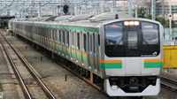 E217？湘南色について。

どうして横須賀線→東海道線に転属になったのかわかりますか？ 