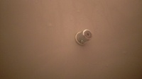 お風呂の栓が根元で切れて困ってます！
ボールチェーンで繋がってる栓なのですが、浴槽に付いてる側から切れてしまいました。
ネジを外しても本体は外れず…
どなたかこの根元を外す方法分か りますか？
これさえ外れればボールチェーンくっつけて直せそうなのですが…
浴槽のメーカーはどこに書いてるか分からず分かりません。